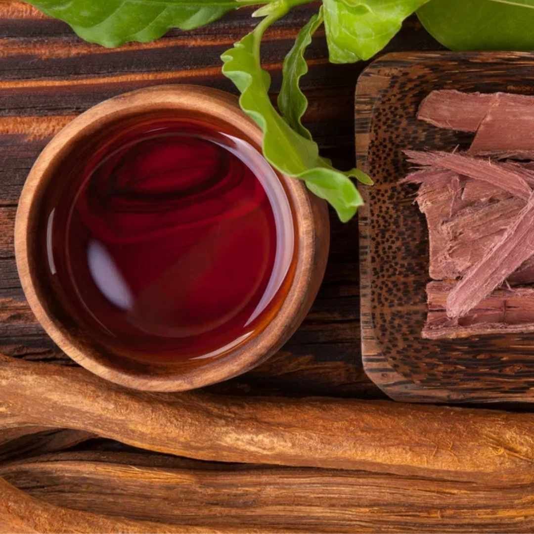 Cerimônias Ayahuasca